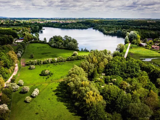 Paysage verdoyant autour du lac du Héron à Villeneuve-d’Ascq, avec sentiers arborés, prairies fleuries et habitations en lisière.