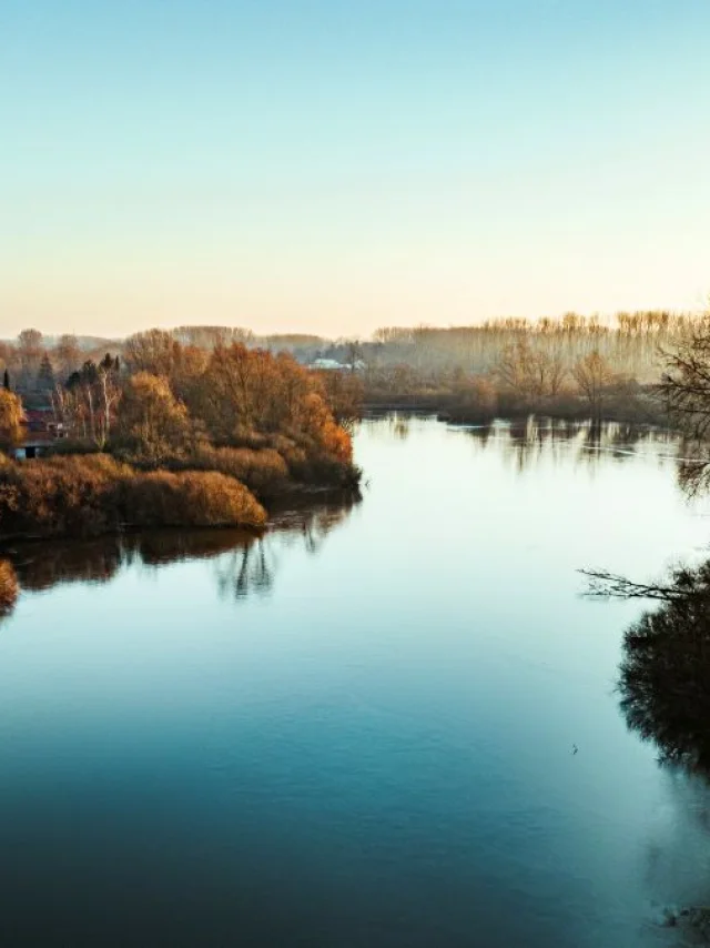 Vue aérienne d’une rivière bordée d’arbres et de buissons au marais de Fretin, habitations visibles au loin.