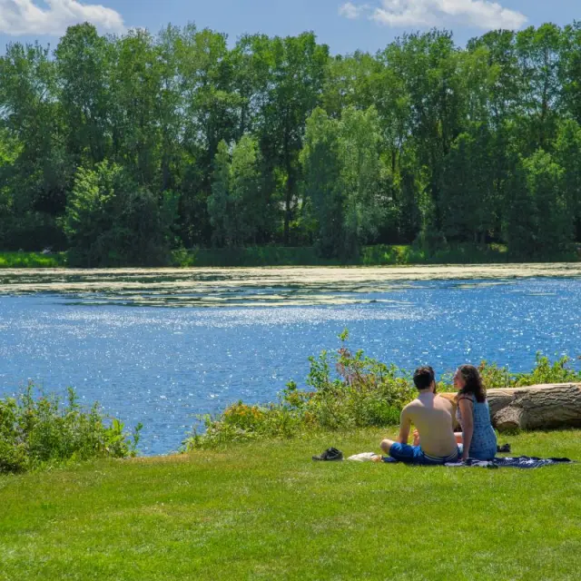 Un couple assis sur une couverture face à un lac bordé d’arbres, par une journée ensoleillée.