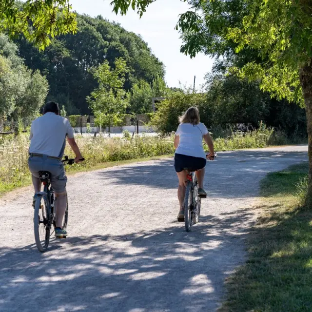Deux cyclistes sur un chemin ombragé bordé d’arbres dans un parc de la métropole lilloise.