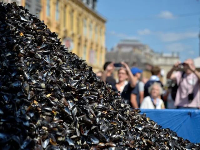 Montagne de coquilles de moules vides sur une place de Lille, entourée de visiteurs lors de la Braderie sous un ciel bleu.
