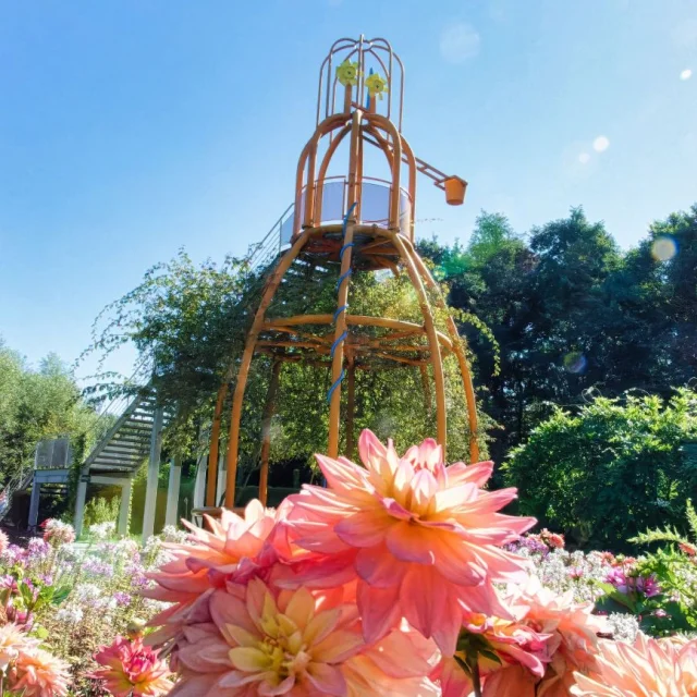Structure métallique ludique au Parc Mosaïc, entourée de massifs de dahlias roses sous un ciel bleu ensoleillé.