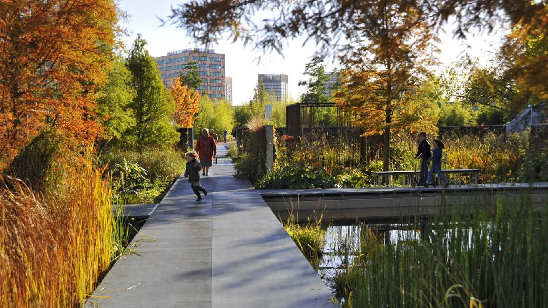 20101025 Ml 0006 Garden Giant Medium