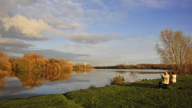 20101115 Ml 0002 Lac Heron Medium