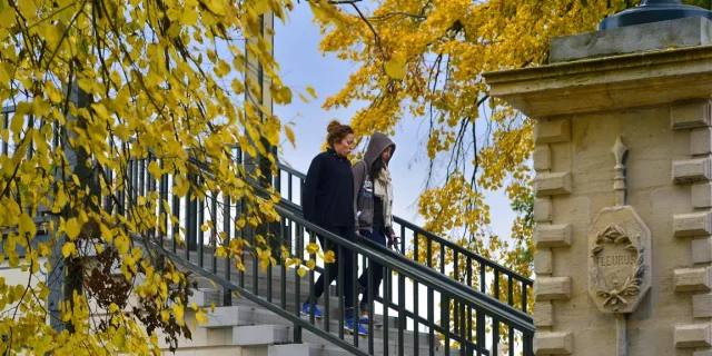 Deux personnes descendent un escalier extérieur en pierre bordé d’une rambarde noire, entouré d’arbres aux feuilles jaunes d’automne. À droite, un mur orné d’un blason en relief est partiellement visible.