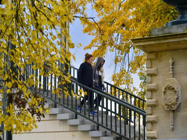 Deux personnes descendent un escalier extérieur en pierre bordé d’une rambarde noire, entouré d’arbres aux feuilles jaunes d’automne. À droite, un mur orné d’un blason en relief est partiellement visible.