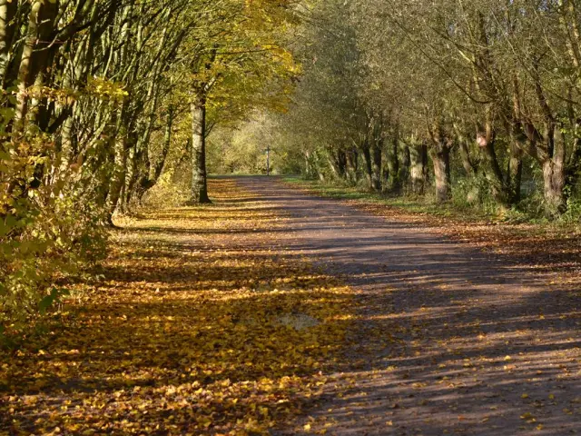 20191119 Cheminement Villeneuve D Ascq 01 Medium