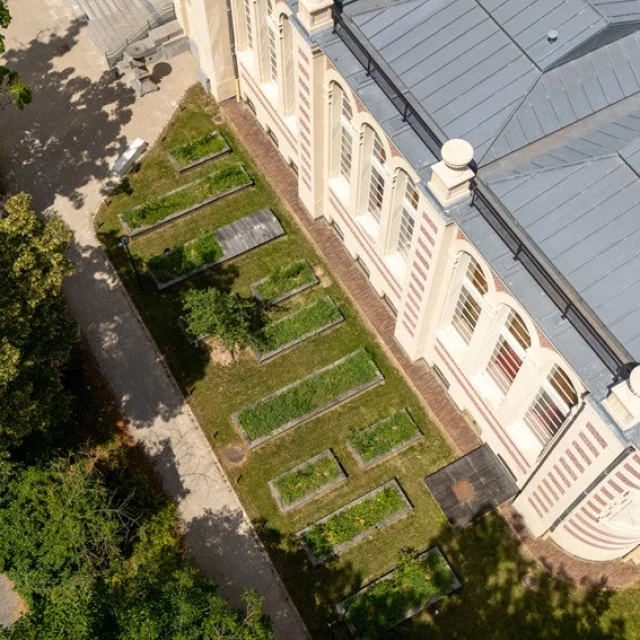 Vue aérienne du Palais Rameau à Lille, montrant son toit en zinc et les jardins potagers expérimentaux alignés le long du bâtiment historique.