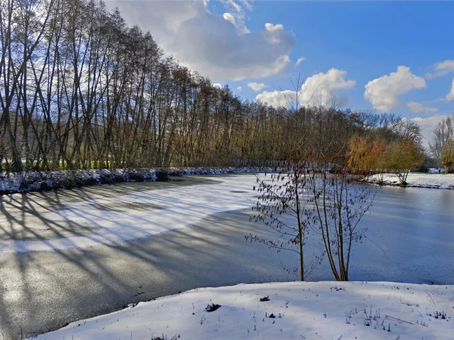Paysage d’hiver au lac du Canteleu, eau partiellement gelée et arbres nus sous un ciel bleu.