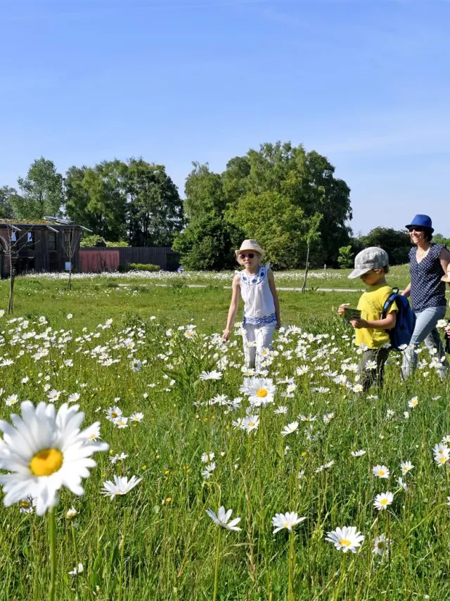 20170529 At Relaisnature Parcdeladeule Santes023 Large