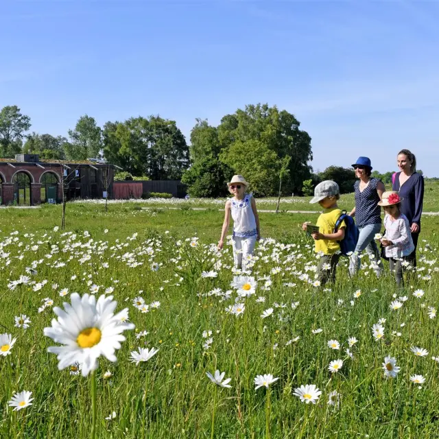 20170529 At Relaisnature Parcdeladeule Santes023 Large