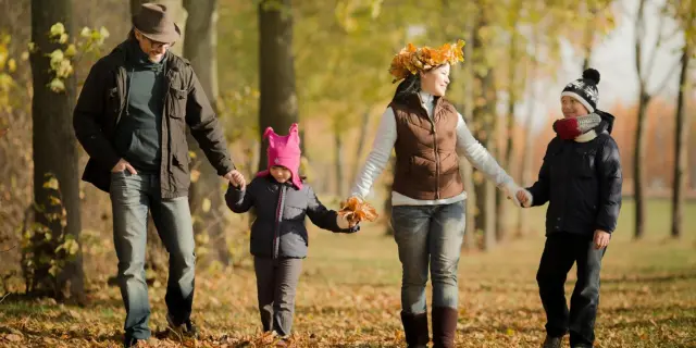 Famille marchant main dans la main dans un parc d’automne, entourée d’arbres aux feuilles dorées et tombées au sol.