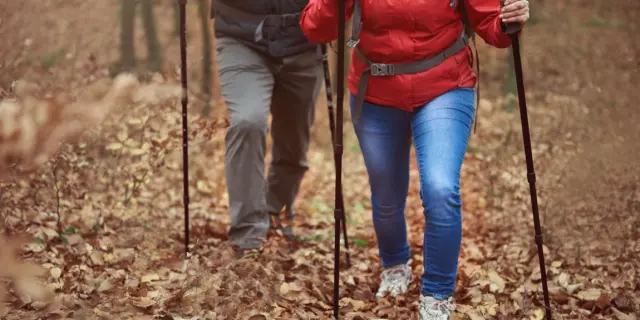 Deux randonneurs marchent sur un sentier forestier couvert de feuilles, équipés de bâtons de marche, en automne.