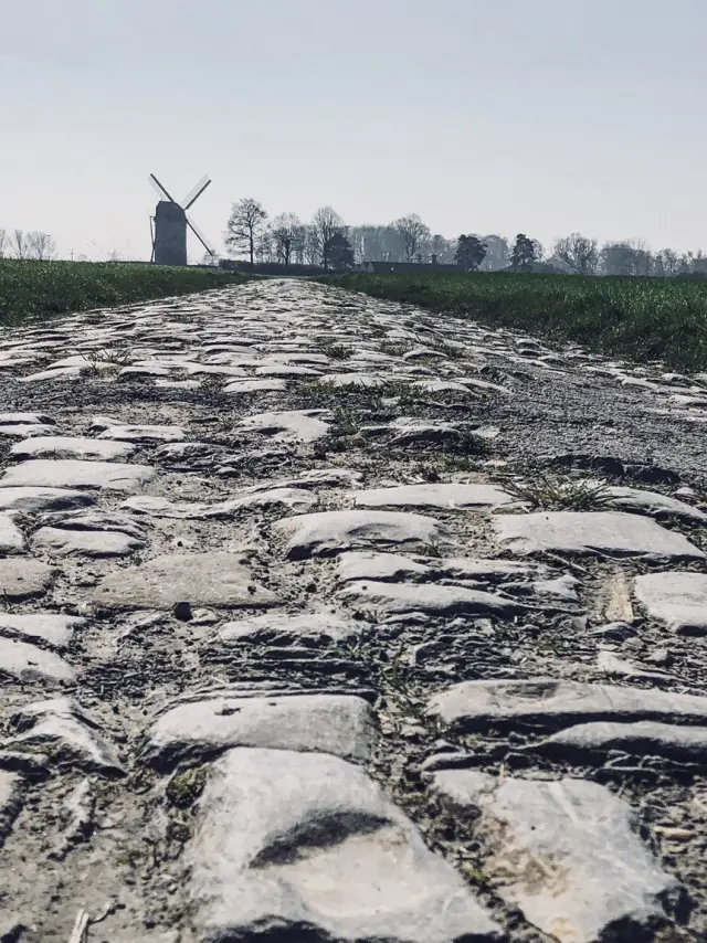 Pave Du Paris Roubaix