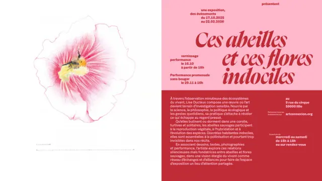 Lise Duclaux Ces Abeilles Et Ces Flores Indociles News Image Top