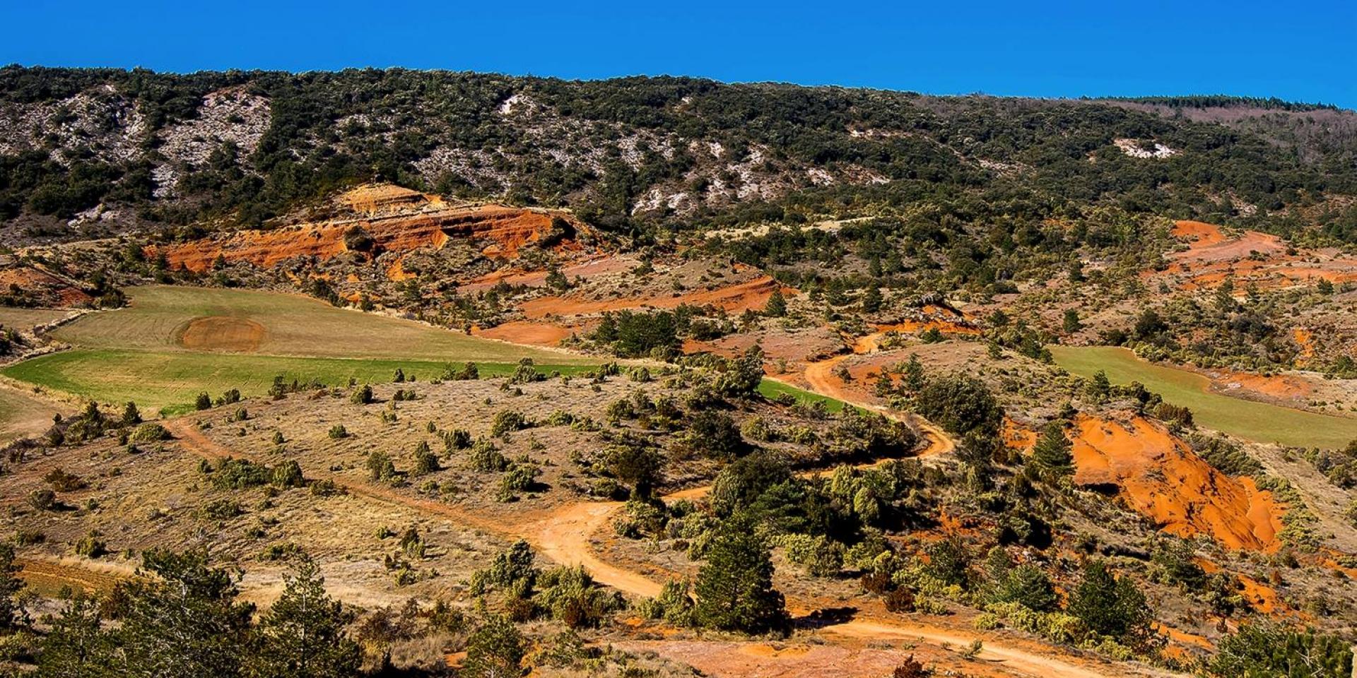 Landscape 4