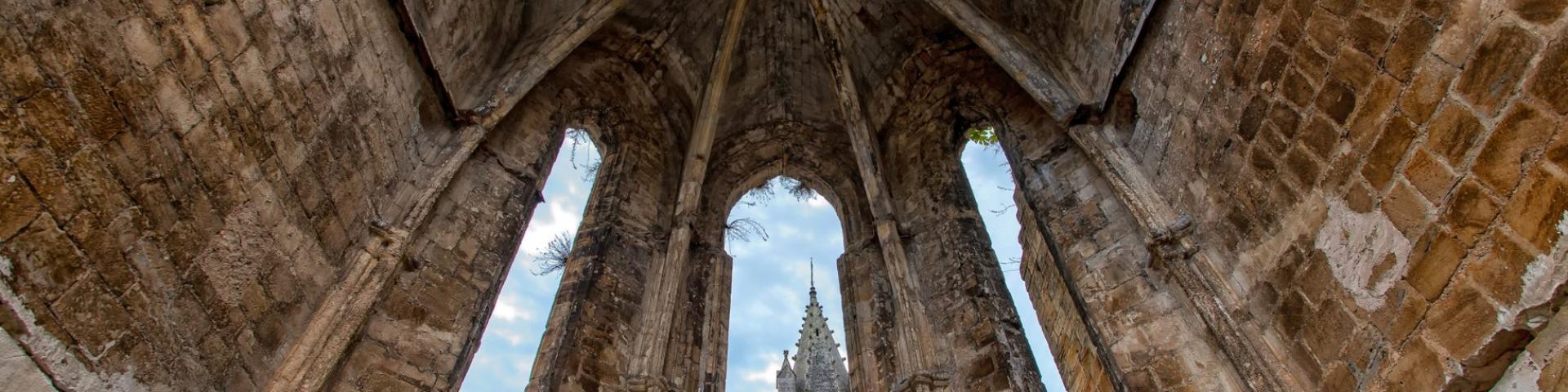 Abbey Alet Les Bains 2017.14.02 ©alain François (24)
