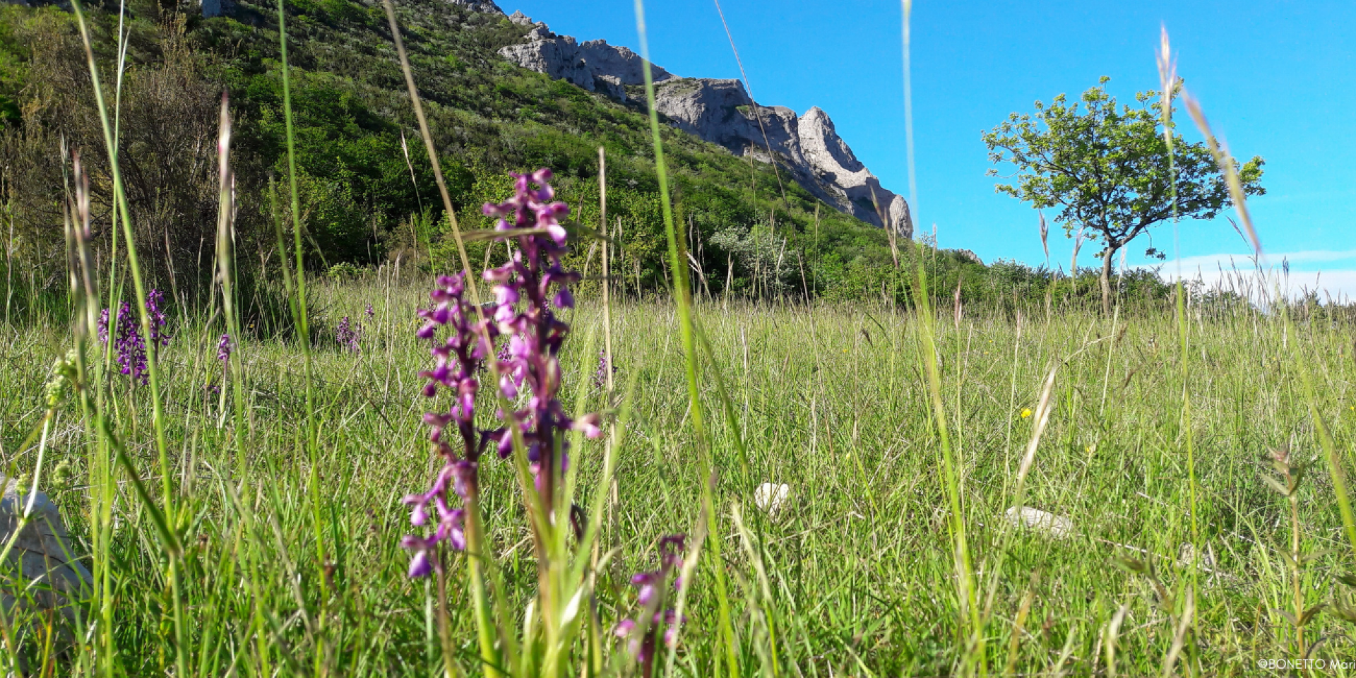 Bugarach - Col Du Linas