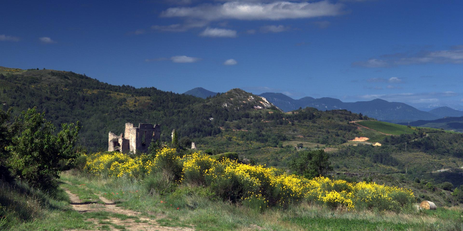 Castle Landscape Coustaussa