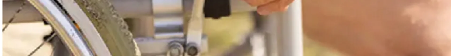 Adapt