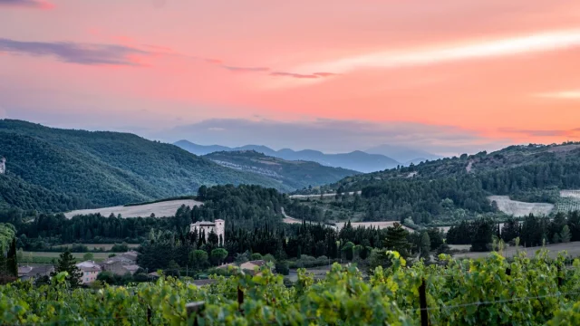 Domaine Therez Caruso Photo Coucher De Soleil 2