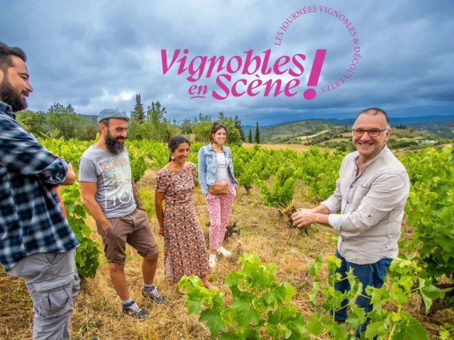 visuel vignobles en scène sortie - 1