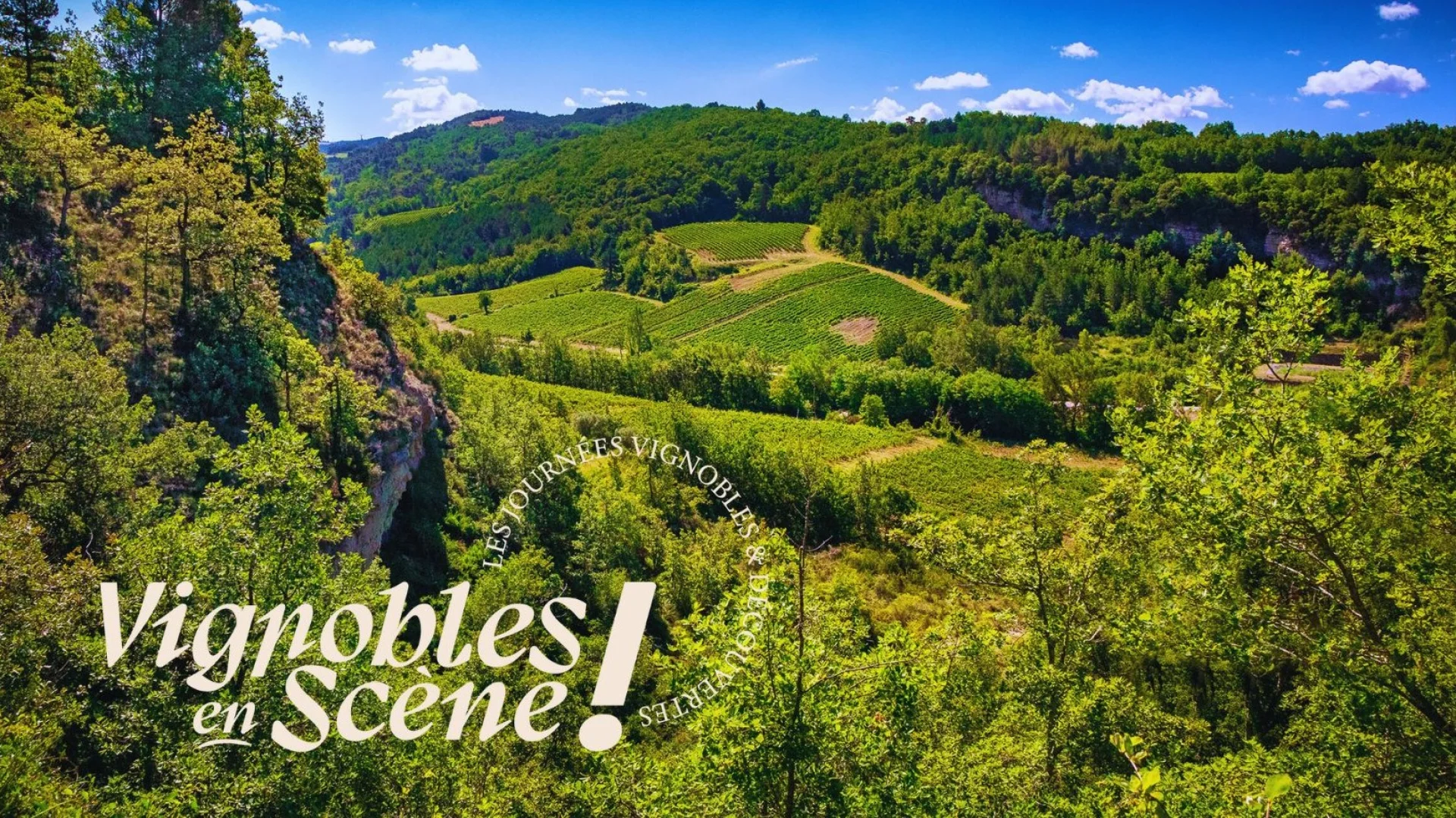visuel vignobles en scène famille - 1