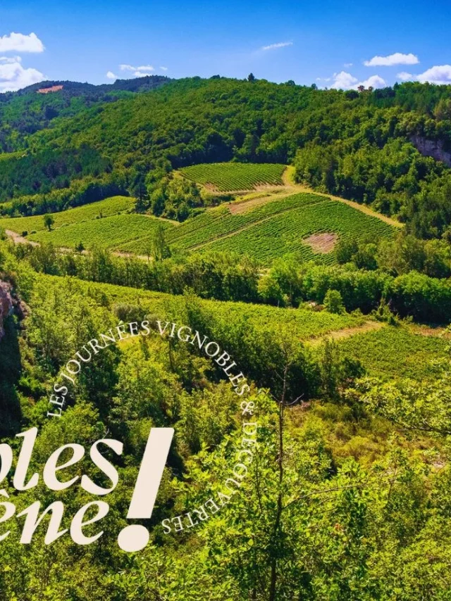 visuel vignobles en scène famille - 1