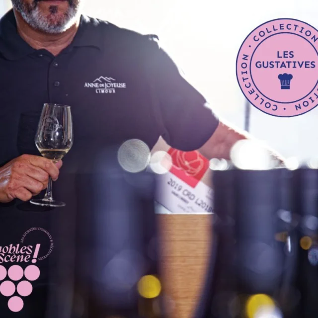 Test Post Vignobles En Scene1