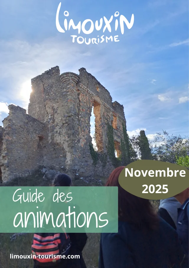 Guide Novembre 2025