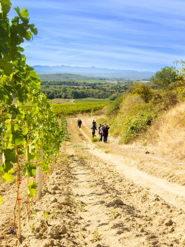 Otlimoux 5912c.deschamps