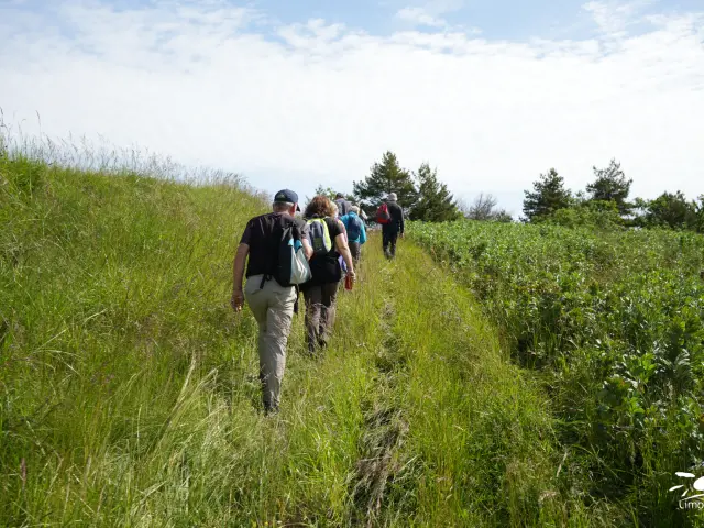 12erandospatrimoine 2024 Cdclimouxin 120