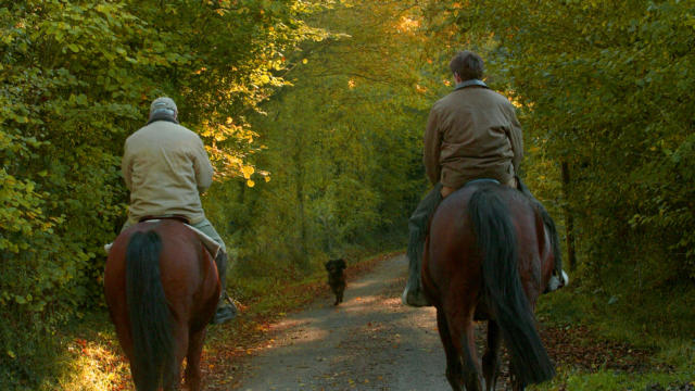 Randonnee A Cheval Gregory Wait Calvados Attractivite(1)
