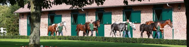 Haras De Saint Crespin Asuncion Pineyrua (6)