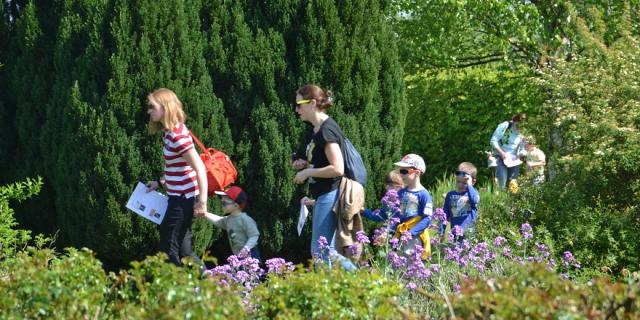 Jardin De Manou