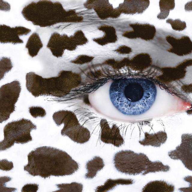 oeil-vache.jpg