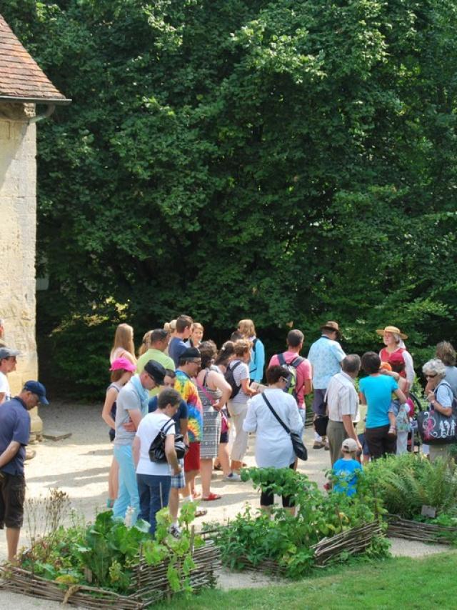 visite-thtralise-groupe-chateau-de-crvecoeur.jpg