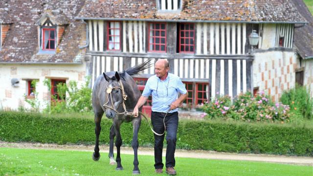 haras-de-la-rousserie-stephane-maurice---calvados-attractivite.jpg