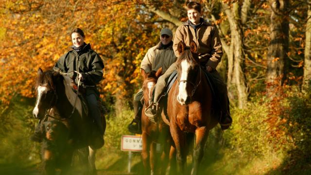 Randonnee A Cheval Gregory Wait Calvados Attractivite