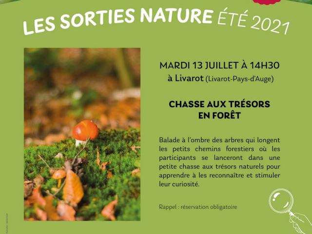 Env Affiche Sorties 13 Juillet