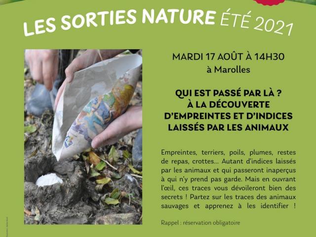 Env Affiche Sorties 17 Août