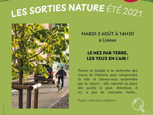 Env Affiche Sorties 3 Août(2)