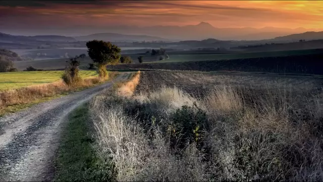 Paysage de Montmorin avec un chemin au milieu des champs, une lumière chaude et diffuse jouant sur les reliefs et une ligne d’horizon lointaine, photographié par Daniel Debost.