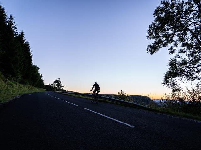 Cycliste sur une route montante au crépuscule, entre forêt et paysage voilé par un arbre en ombre chinoise.