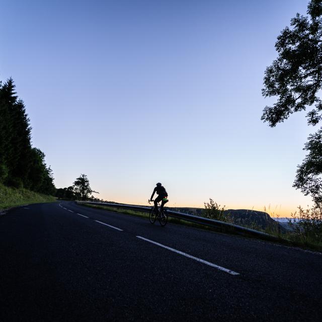 Cycliste sur une route montante au crépuscule, entre forêt et paysage voilé par un arbre en ombre chinoise.