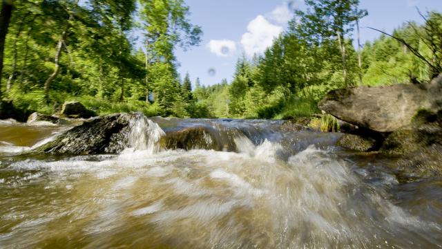 Vue en mouvement des Gorges de la Dore depuis l'eau, avec des arbres et des rochers dans la rivière.