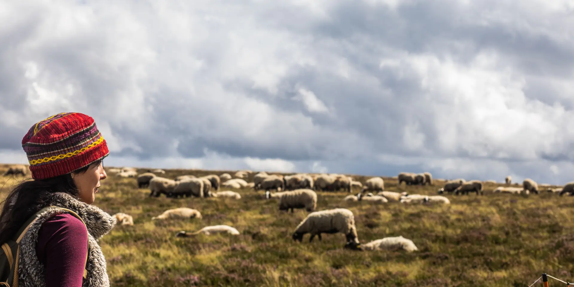 Hautes-Chaumes du Forez - Randonneurs