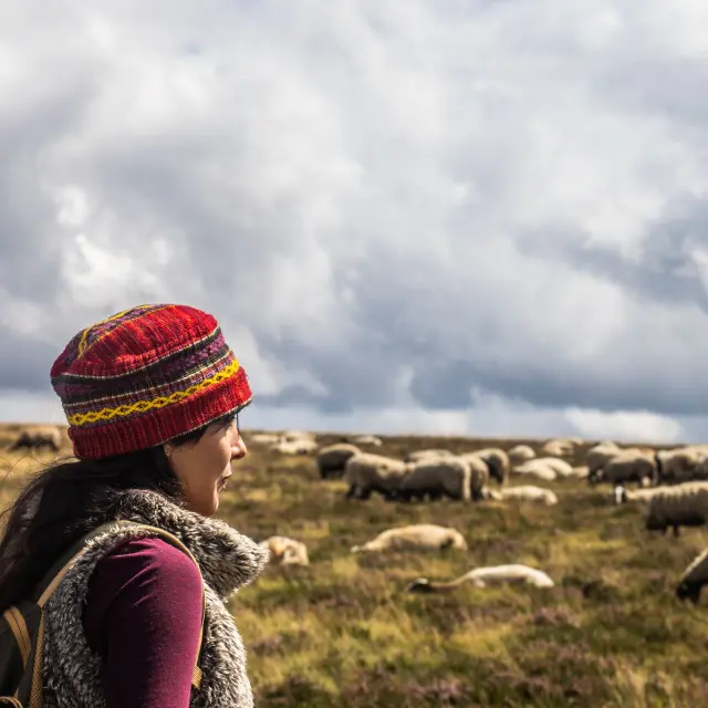 Hautes-Chaumes du Forez - Randonneurs
