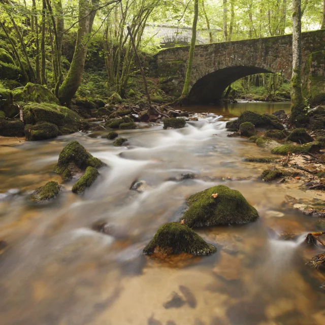 Pont sur la rivière Crédogne, avec pierres moussues et arbres, dans une lumière douce et naturelle