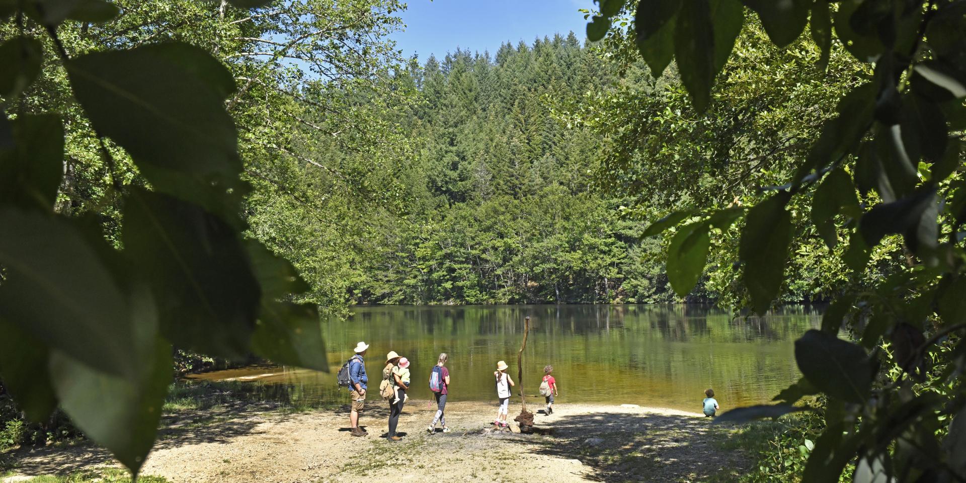 Muratte dam, Palladuc